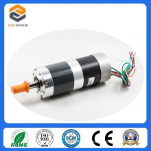 57mm Brushless DC Motor for Automatic Door System (FXD57BL-2480-001)